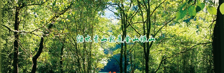 d5ac6f36c6b046d69a80493017c0da07.jpg