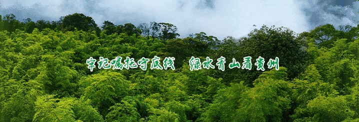 d5cef68b271e4826b578347888c115ff.jpg